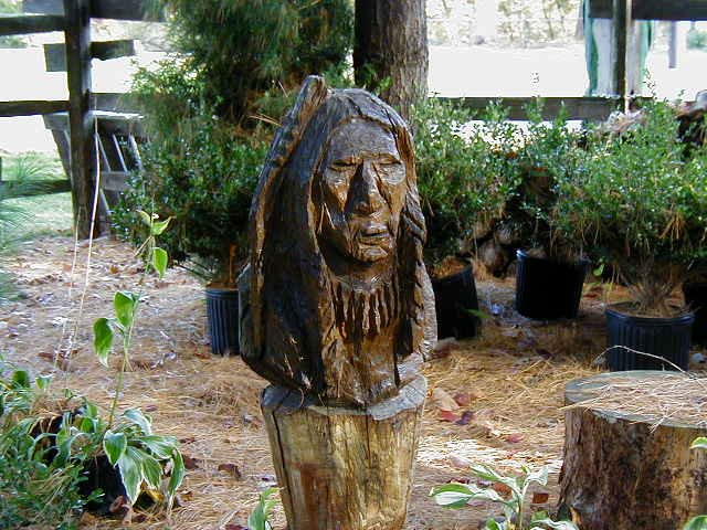 Indian Bust