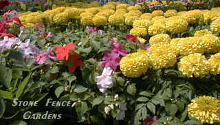 greenhouse